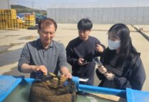 “발아율 80% 이상 확인”…부여군, 벼 종자 관리 강조
