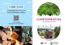 소나무재선충병 확산 막는다, 논산시 무단 이동 특별단속